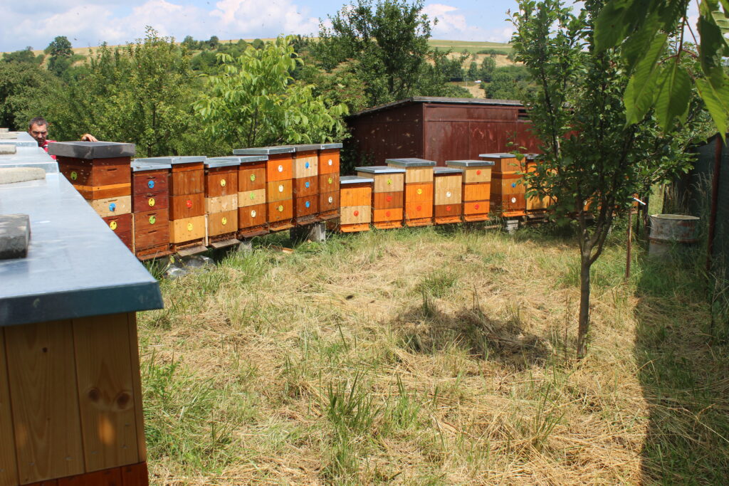 Včelařství Sedlákovi